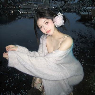 树袋熊
